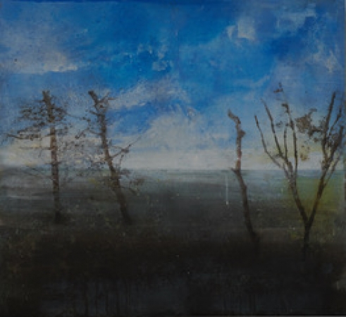 http://www.katarinaaxelsson.com/files/gimgs/th-45_Solastalgie-67x73-katarina-axelsson.jpg