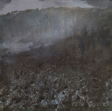 http://www.katarinaaxelsson.com/files/gimgs/th-45_Terra-nostrum-103x103cm-katarina-axelsson.jpg