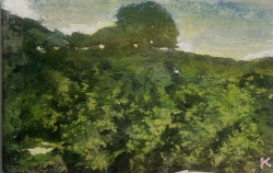 http://www.katarinaaxelsson.com/files/gimgs/th-28_Larbre-14-x-21-cm-Pigments-sur-papier-maroufle-sur-toile-katarina-axelsson.jpg
